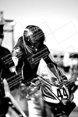 media/Mar-25-2024-Moto Forza (Mon) [[8d4319bd68]]/1-Around the Pits/